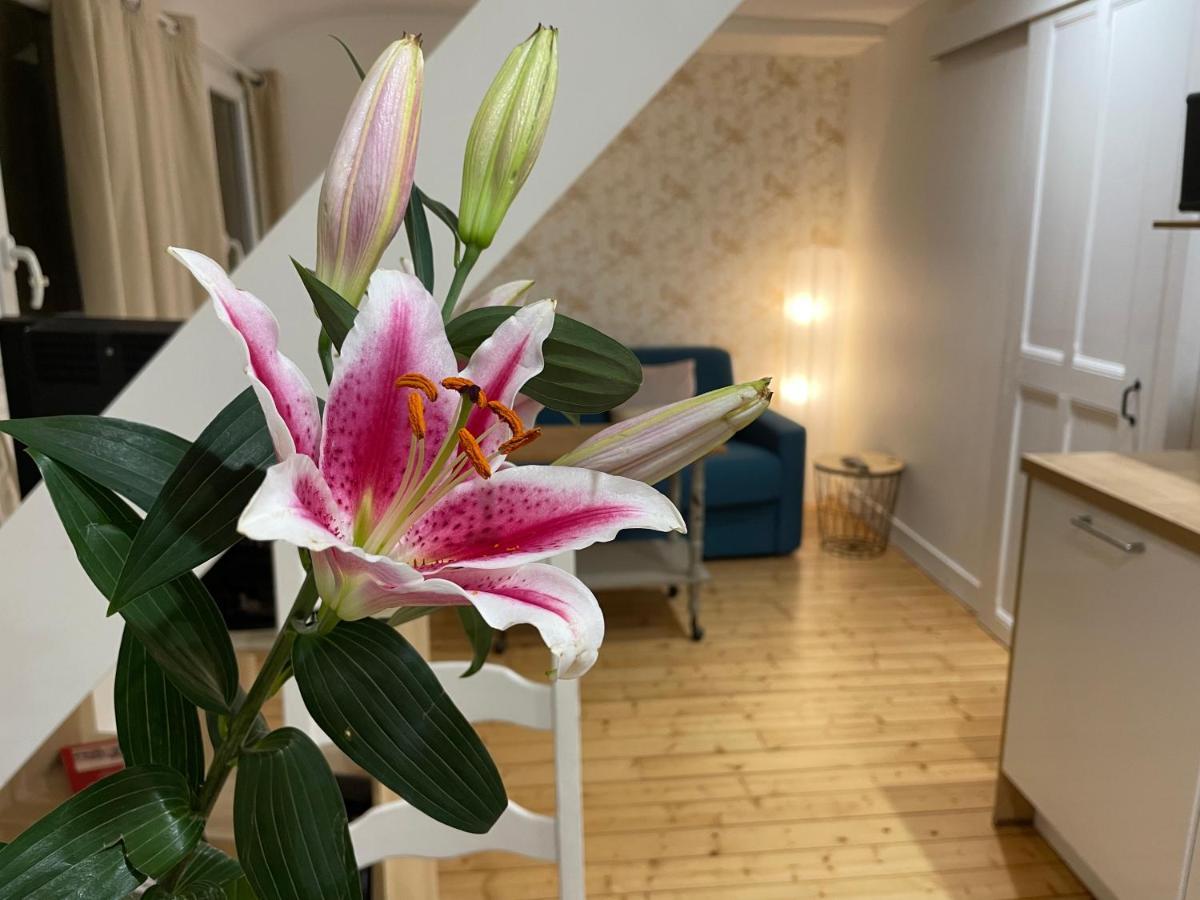 Houlgate Appartement La Briarde Ngoại thất bức ảnh